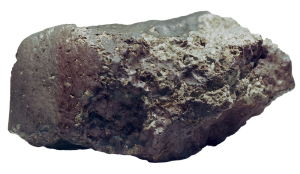 ALH 84001 martian meteorite.