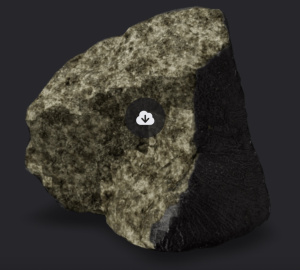 Nakhla martian meteorite.