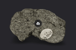 Shergotty martian meteorite.