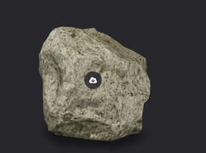 Chassigny martian meteorite.